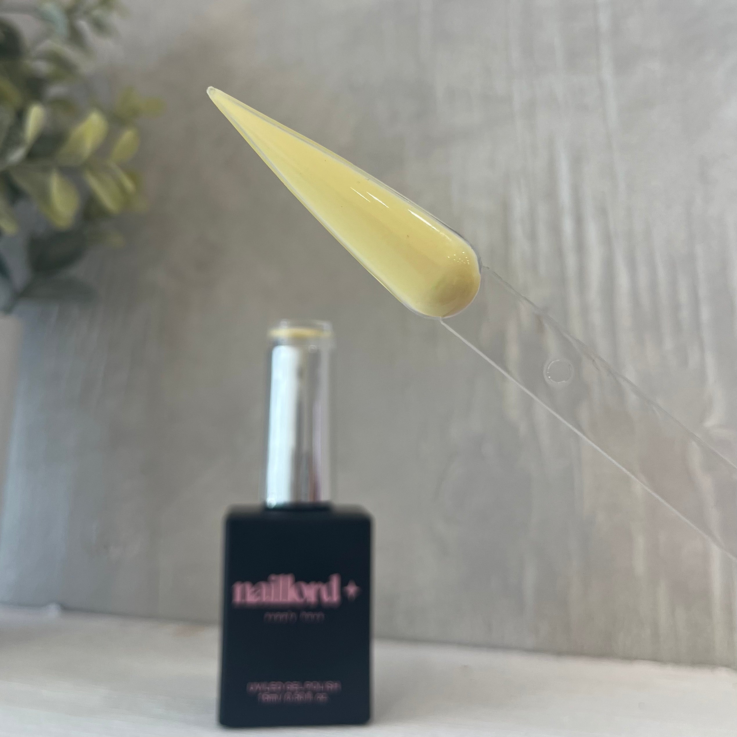 02 - Butter Yellow